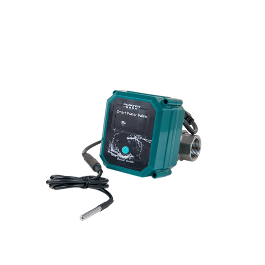 FrankEver Smart Water Valve FK-V02T